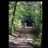 One of the many bridges found during a walk or run on the Buffalo Lake trail.