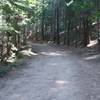 The old road makes for a nice, wide path for walking.