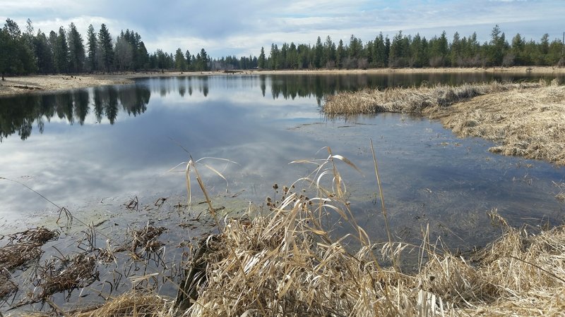 Slavin Ranch wetlands.