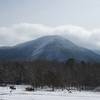 Looking up at the crest of the Smokies from Cades Cove.  Horses feed in the fields.