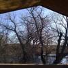 View from Boardwalk Gazebo to the east