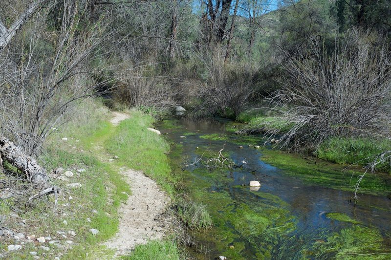 The trail skirts the creek for several miles.  The North Wilderness Trail criss crosses the creek multiple times via rock hops, so be ready to jump rocks.