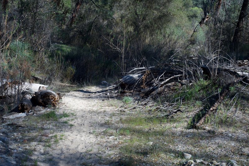 The North Wilderness Trail can be sandy in areas as it moves through the old riverbed.