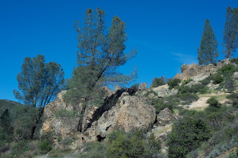 In this part of the trail, rocks like the ones found in the high peaks region begin to appear.  The first part of the trail doesn't have these rock formations.