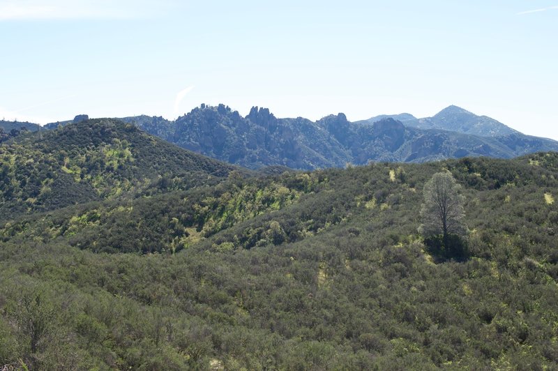 A view of the high peaks from the summit of the hill.   It's a great view, but as you can see it's pretty exposed as you have climbed out of the creek area and a majority of the big trees are gone.