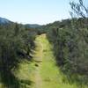 The North Wilderness Trail following the ridgeline in this are levels out and offers stunning views in both directions.