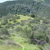 As you move downhill, you can see the North Wilderness trail off in the distance.