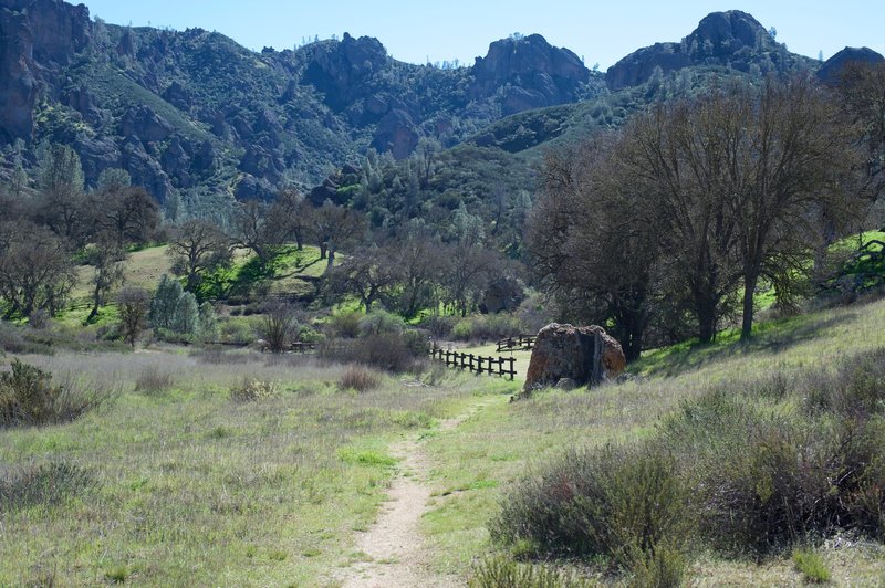 The picnic area comes into view as you approach the Chaparral area of the park.