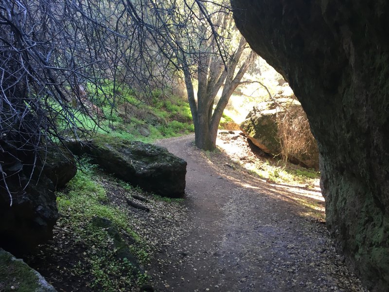 The Balconies Trail works its way under the rocks through this area.