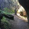 The Balconies Trail works its way under the rocks through this area.