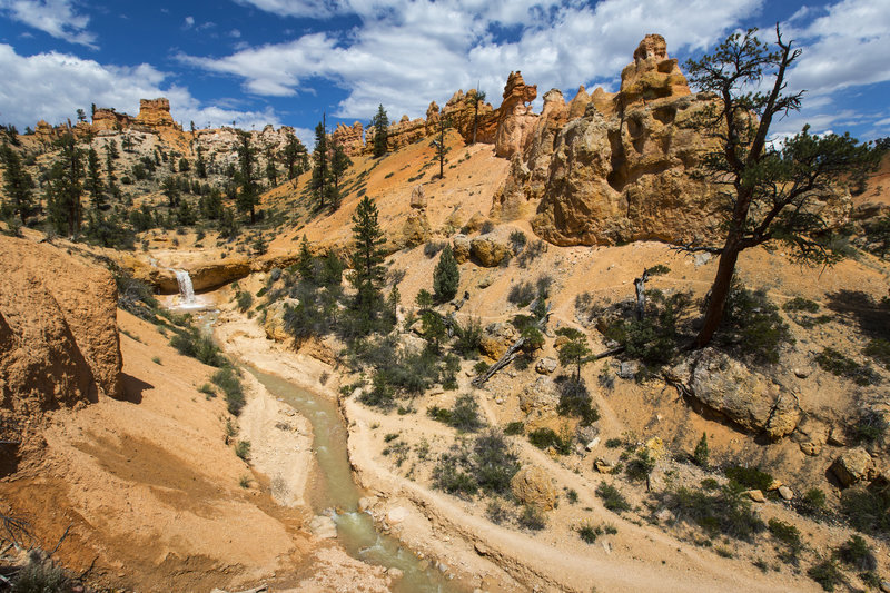 Spires and great scenery on the Mossy Cave Trail