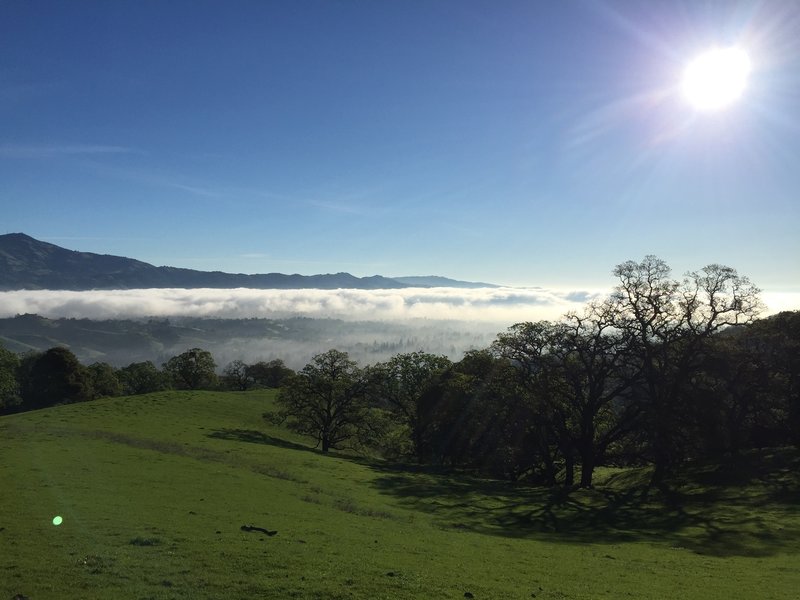 View from Madrone Trail.