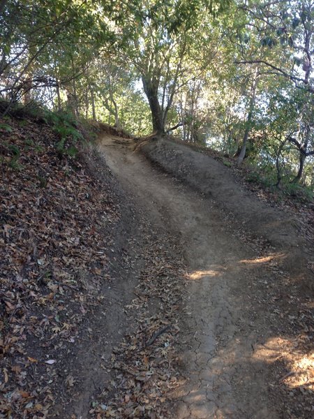 Climbing on Del Amigo Trail.