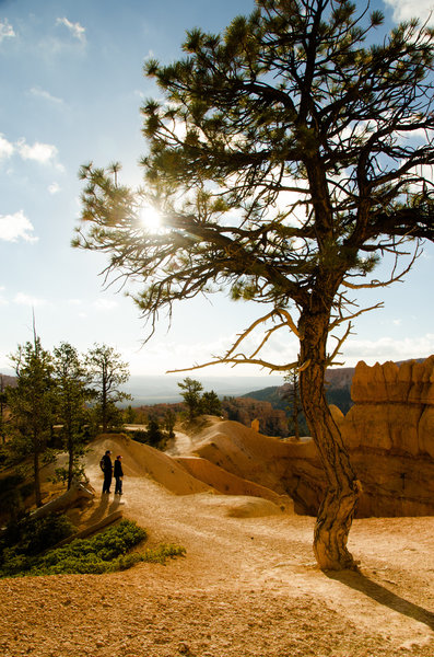 Emjoying the Queens Garden Navajo loop.