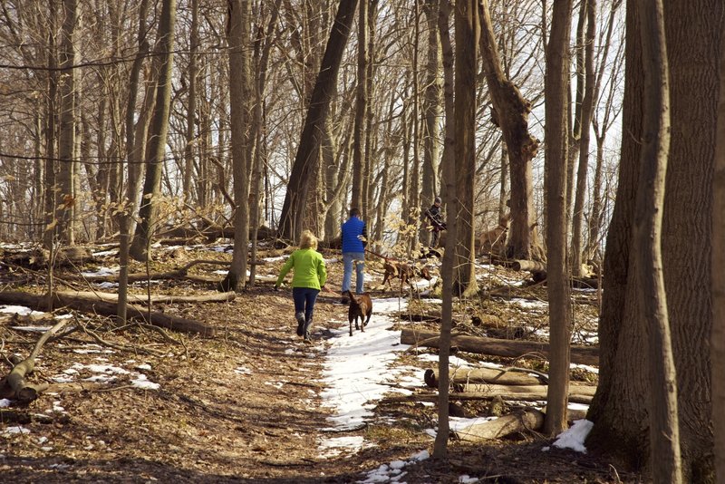 Hiking up the moraine on the Big Tree Trail.