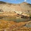 One of the many small ponds on the Mohawk Lake Trail.