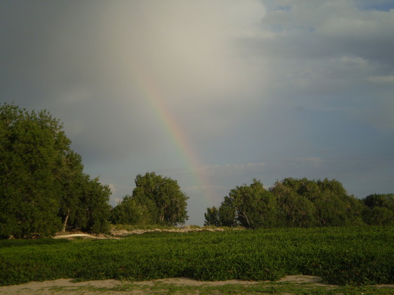 Rainbow over Barr Lake.