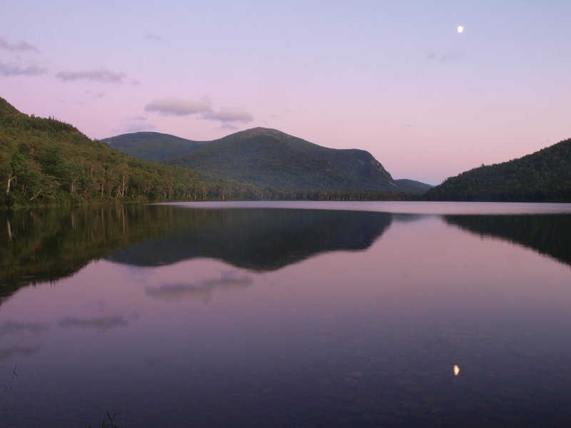 Evening on the North Traveler Trail, near the Lower South Branch Pond. with permission from Laura Sebastianelli