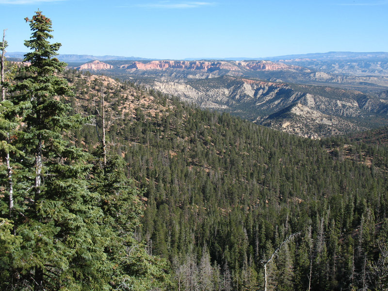 View from the Riggs Spring Loop Trail. with permission from matthew.j.kidd