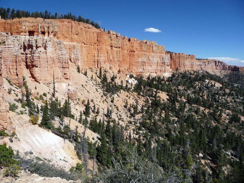 Bryce Canyon NP from the Riggs Spring Trail.