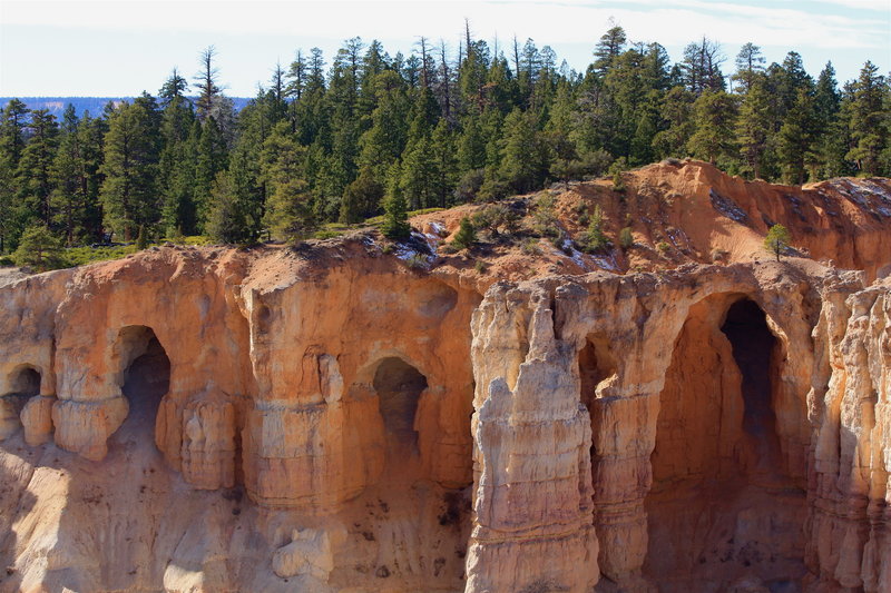 Arches in the Upper Claron Formation near Bryce Point.