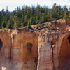 Arches in the Upper Claron Formation near Bryce Point.