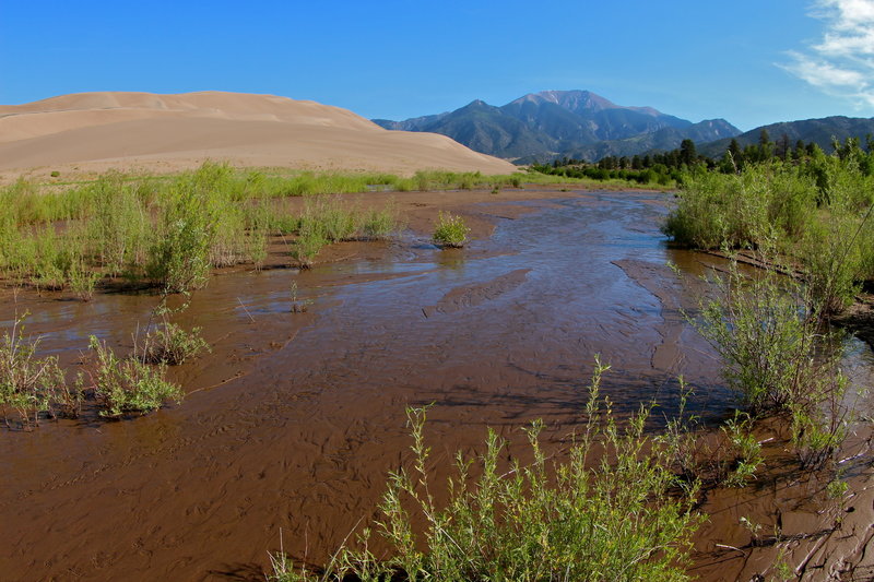 Medano Creek brings a bit of green to the Great Sand Dunes.