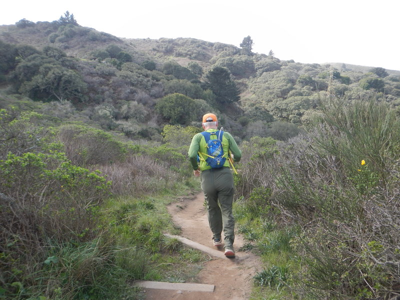 Heading down toward the Oakwood Valley.