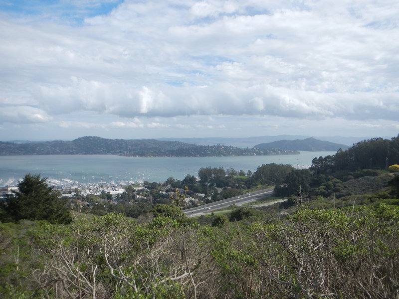 Sausilito and Belvedere Peninsula from atop the Alta Trail.