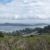 Sausilito and Belvedere Peninsula from atop the Alta Trail.