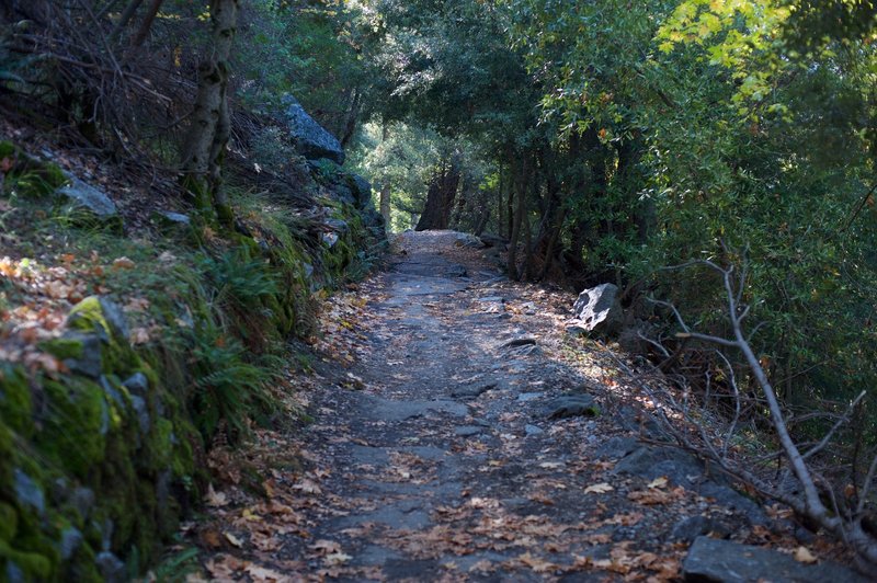 The trail as it rises from the valley floor.