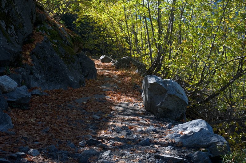 The trail is rocky through this area.