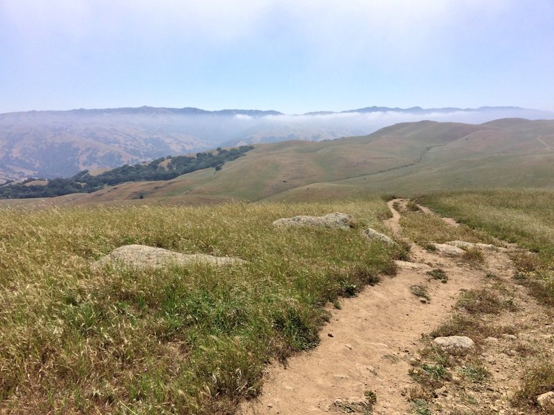 View from Ohlone Wilderness Trail.