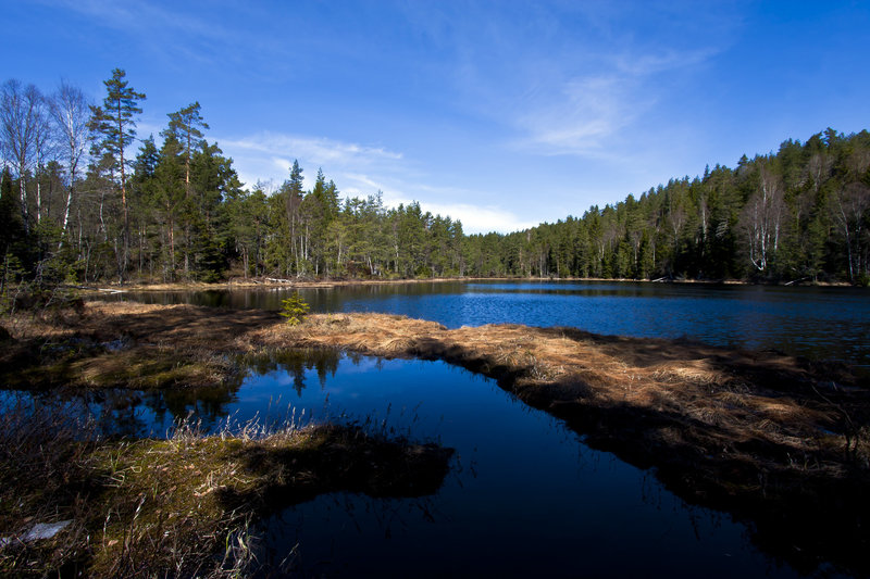 Lake views are abundant.