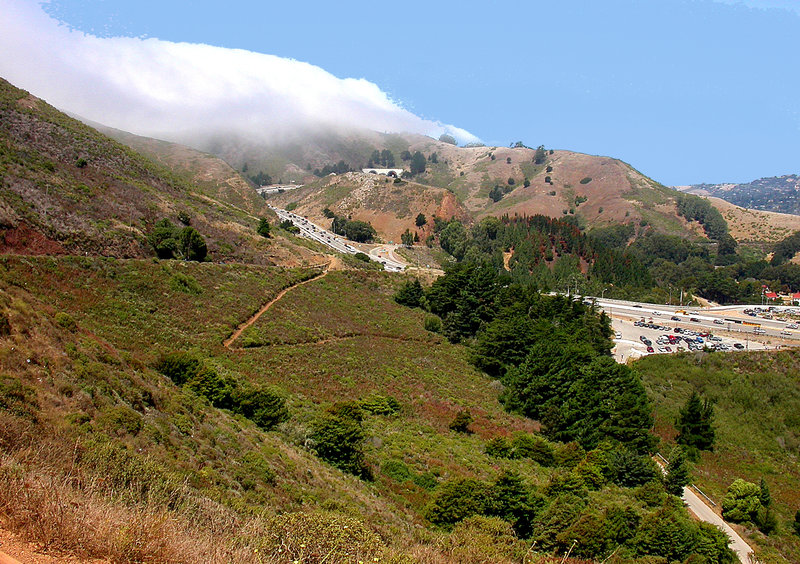 Fog rolling in on the Kirby Cove Trail.