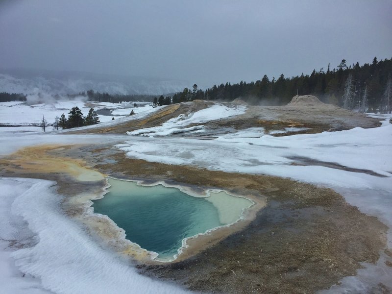 A winter trek around Geyser Hill is an excellent way to spend your time in the Old Faithful area. Here, beautiful Heart Spring's runoff channel heads to the Firehole River (with the geyser cones of the Lion Group behind).