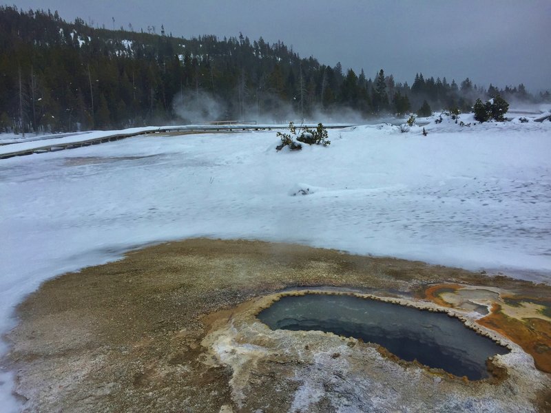 Ear Spring, one of many beautiful springs on Geyser Hill.