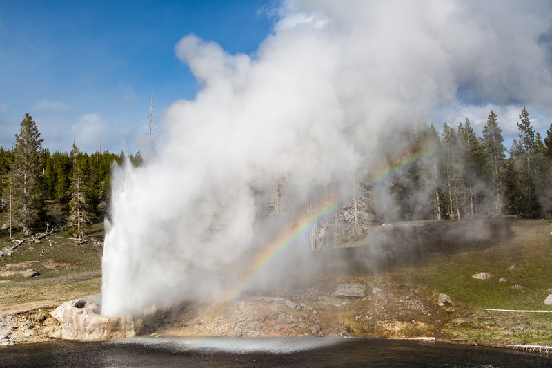 Well-named Riverside Geyser is perhaps the most beautiful geyser in Yellowstone. Photo courtesy of the National Park Service.