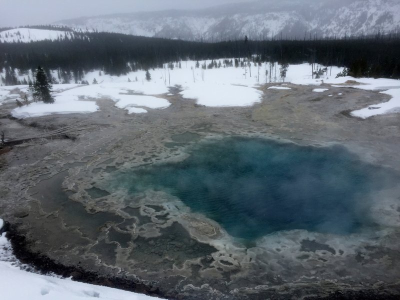 Artemisia Geyser.