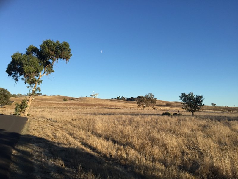 The Stanford Dish sits at the top of the climb. The trail gently climbs to the dish, making it a relatively easy trail, despite the uphill.