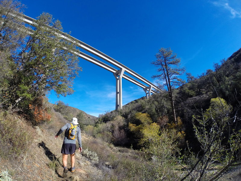 Passing under the Pine Creek Bridge.