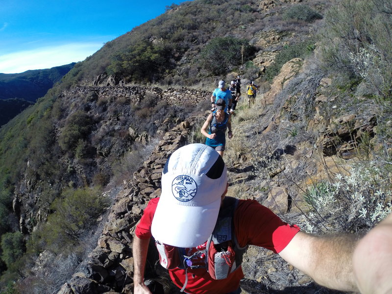 A long stretch of trail follows an historic rock wall.