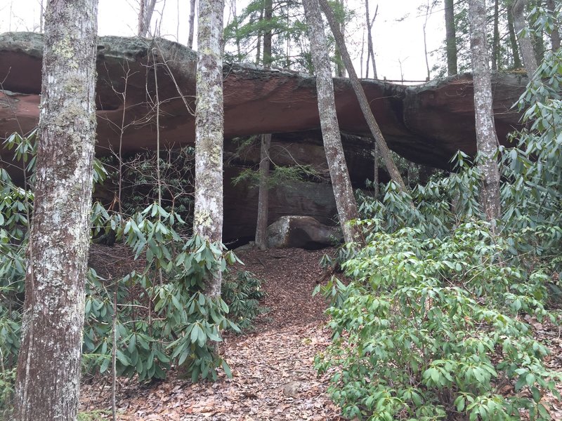 Natural Bridge at Pickett State Park