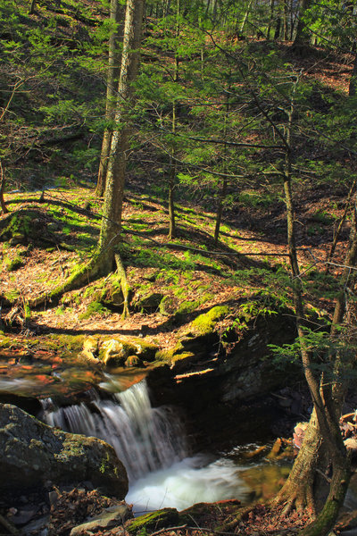 Some of the lower Silver Spray falls.