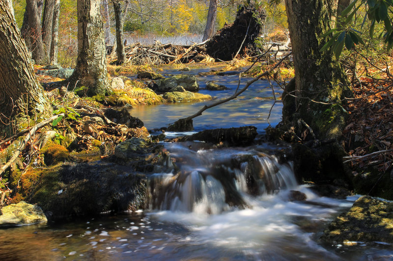 An outlet seen from the Woods Road Trail.