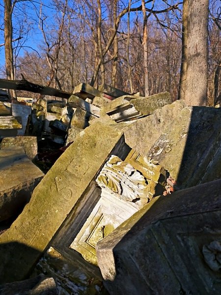 Capitol stones in Rock Creek Park.