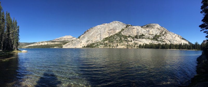 Breaks in the trees offer stunning views of the domes surrounding Tenaya Lake.