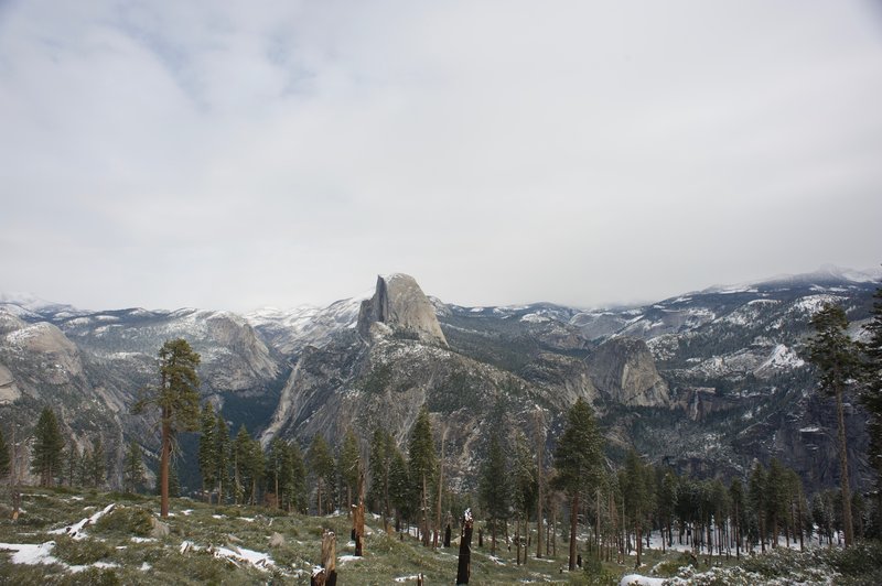 Evidence of a fire that burned through the area.  North Dome, Basket Dome, Half Dome, and Nevada Falls can all be seen in the distance.