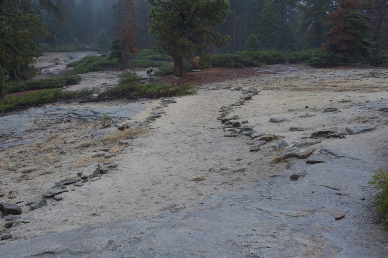 The trail to Sentinel Dome.