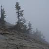 Climbing Sentinel Dome.